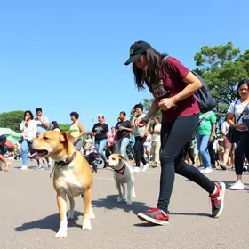 Pets Day ABC movimenta São Bernardo com cãominhada, feira de adoção e solidariedade