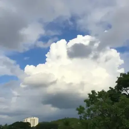 Previsão do tempo hoje para São Bernardo do Campo (SP): sol com muitas nuvens durante o dia e períodos de céu nublado; noite com poucas nuvens