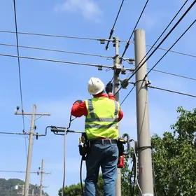 ENEL REALIZA LIMPEZA DE CABOS IRREGULARES EM POSTES DE SÃO BERNARDO DO CAMPO