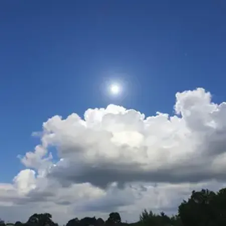 Previsão do tempo hoje para São Bernardo do Campo (SP): sol com algumas nuvens durante o dia; à noite o céu fica com muitas nuvens, mas não chove