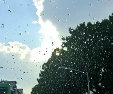 Previsão do tempo hoje para São Bernardo do Campo (SP): tempo chuvoso de manhã; aberturas de sol à tarde e pancadas de chuva que vão até a noite